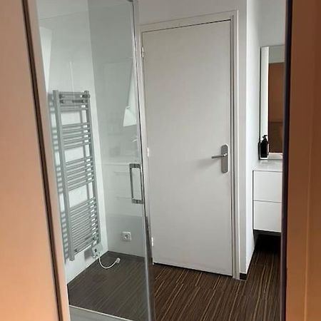 Grand Duplex De 80M2 Lägenhet Alençon Exteriör bild